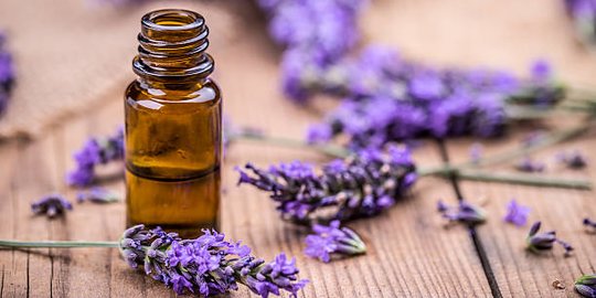 7 Manfaat Lavender Oil dan Kegunaannya, Baik Untuk Kulit