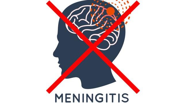 penyebab meningitis