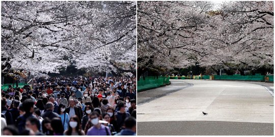 Unik, Ini Cara Jepang Tertibkan Warganya untuk Karantina Diri di Rumah