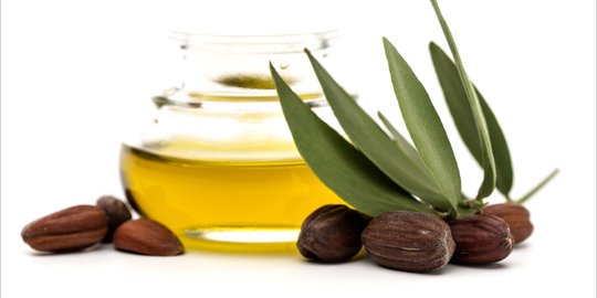 7 Manfaat Jojoba Oil untuk Rambut, Kulit, dan Wajah