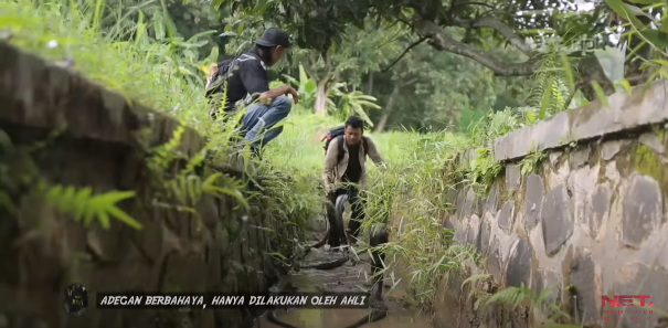 panji petualang diserang king kobra dibelit piton