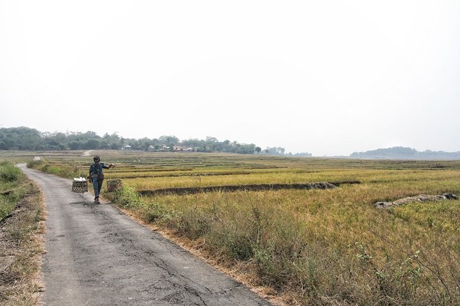 sawah di kabupaten bogor