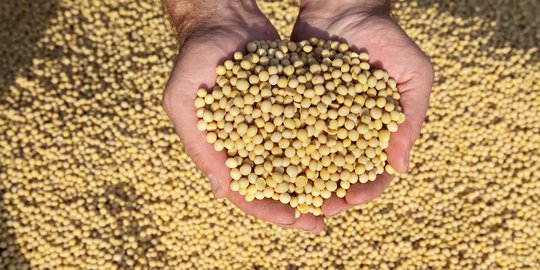 Industri Makanan Mengeluh Bahan Baku Sulit Didapat Hingga Omzet Turun 50 Persen