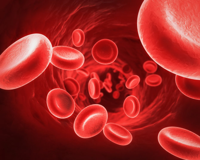ilustrasi sel darah