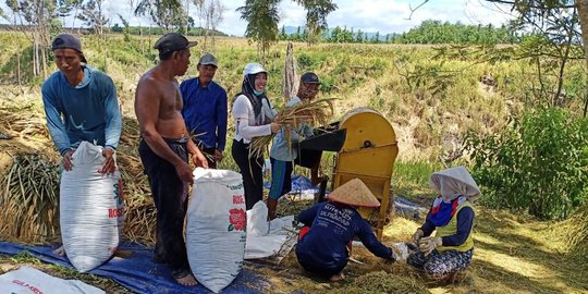 Pandemi Corona, Jokowi Perintahkan Kepala Daerah Jamin Bahan Pokok Tidak Langka