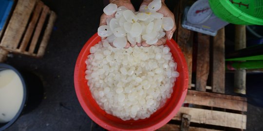 8 Manfaat Kolang-kaling untuk Kesehatan, Bisa Cegah Kanker