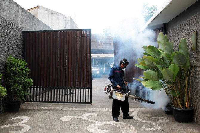 fogging nyamuk demam berdarah