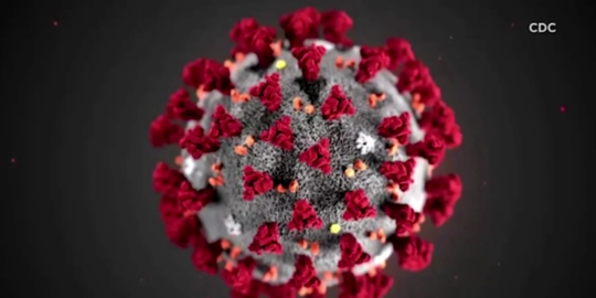 peneliti: virus corona bisa bertahan di suhu tinggi