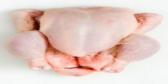 Manfaat daging ayam untuk tubuh - ANTARA News