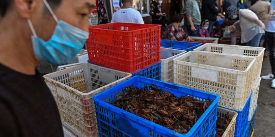 Pilu Pasar Basah Wuhan dalam Lekatan Stigma Corona