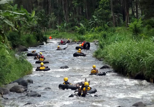 bermain bersama gajah di ekowisata tangkahan the hidden paradise of sumatera utara