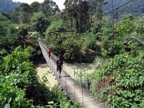 bermain bersama gajah di ekowisata tangkahan the hidden paradise of sumatera utara