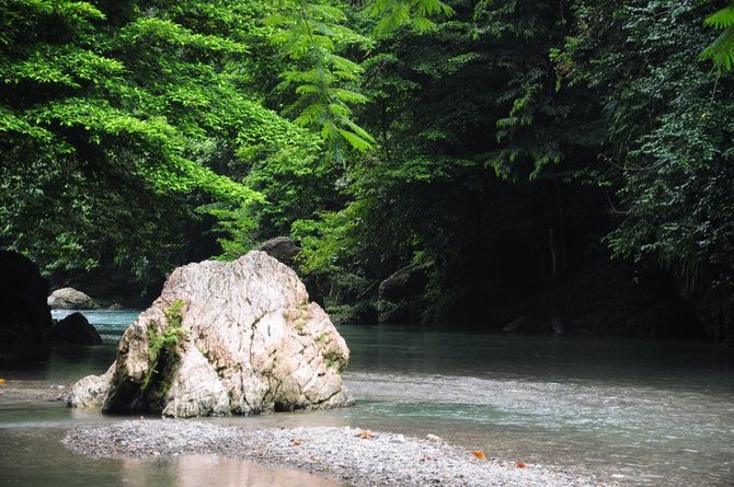 bermain bersama gajah di ekowisata tangkahan the hidden paradise of sumatera utara