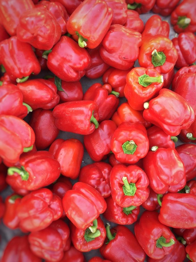 paprika merah