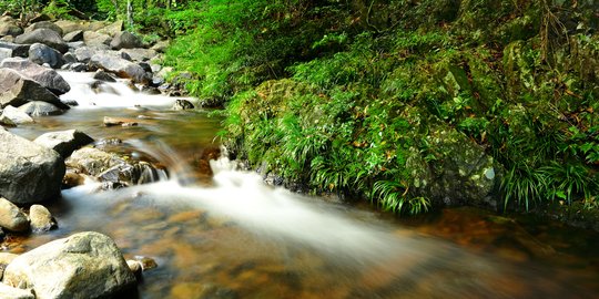 8 Manfaat Sungai Bagi Kehidupan Manusia, Wajib Diketahui