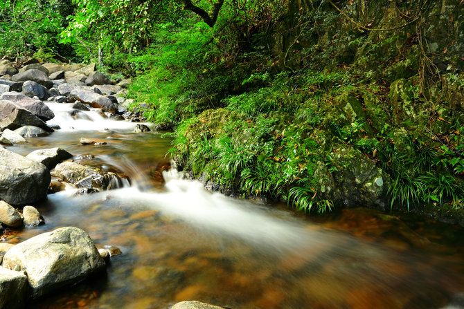 ilustrasi sungai