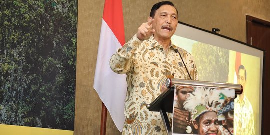 Luhut Sebut Larangan Mudik Berlaku untuk Warga Jabodetabek, Wilayah PSBB & Zona Merah