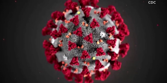 Ilmuwan China: Virus Corona Bermutasi Jadi 33 Jenis dan Lebih Mematikan