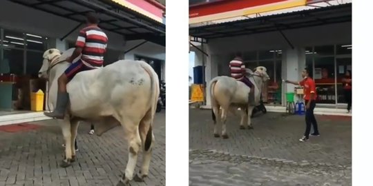 Bikin Heboh, Pria Ini Tunggangi Sapi saat Belanja ke Minimarket