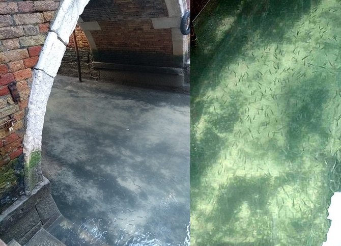 pemandangan di perairan venesia selama lockdown