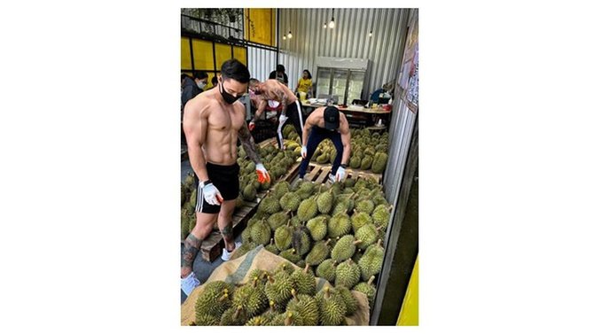 pelatih gym berjualan durian