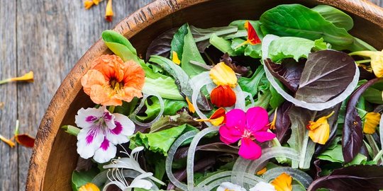 8 Jenis Bunga yang Bisa Dimakan, Selain Cantik Juga Bermanfaat Bagi Kesehatan