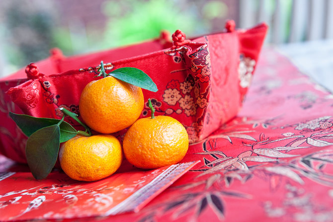ilustrasi jeruk mandarin