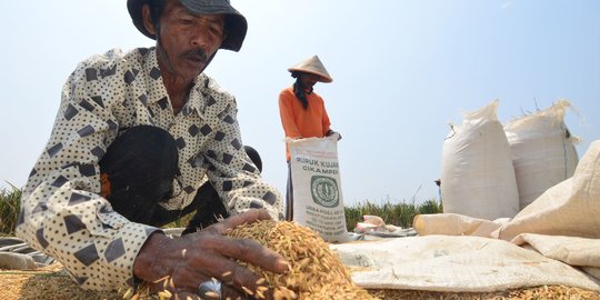 Pemerintah Diminta Peduli Dengan Nasib Buruh Tani di Tengah Pandemi Corona