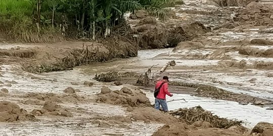 Longsor Terjang Puluhan Hektare Sawah di Muara Enim, Irigasi Rusak & Sapi Hanyut