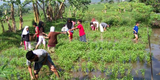 Bantu Kemandirian Petani, Seorang Perempuan di Garut Dirikan Pesantren Ekologi