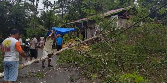 Hujan Deras Sebabkan Longsor dan Pohon Tumbang Hingga Timpa Jaringan Listrik di Nias