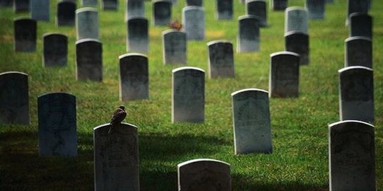 Puluhan Makam di TPU Cikutra Bandung Hilang