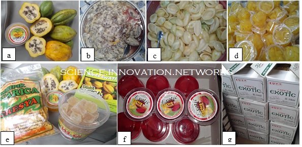 5 Fakta Carica Buah Ajaib Khas Dieng Yang Segar Dan Kaya Khasiat