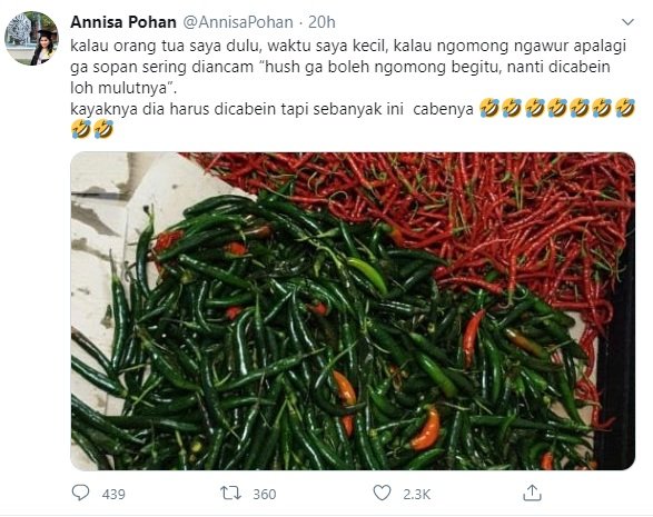 annisa pohan kesal singgung mulut dicabein pada denny siregar