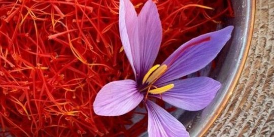 6 Manfaat Bunga Saffron, Tanaman Herbal Alami yang Baik untuk Kesehatan Tubuh