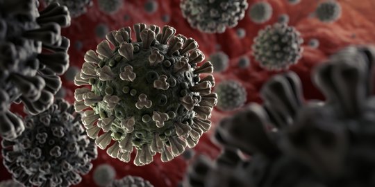 Ahli Biologi LIPI: Virus Corona Lebih Lambat Bermutasi Dibanding Virus Influenza