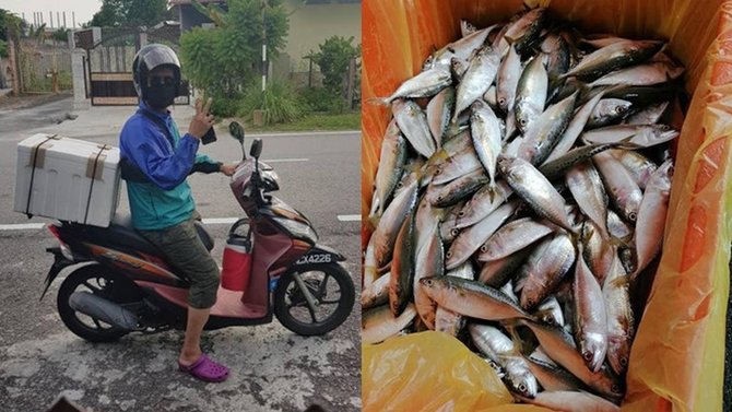 kena phk jualan ikan