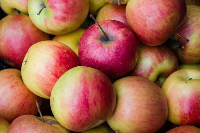 5 manfaat apel bagi kesehatan tubuh