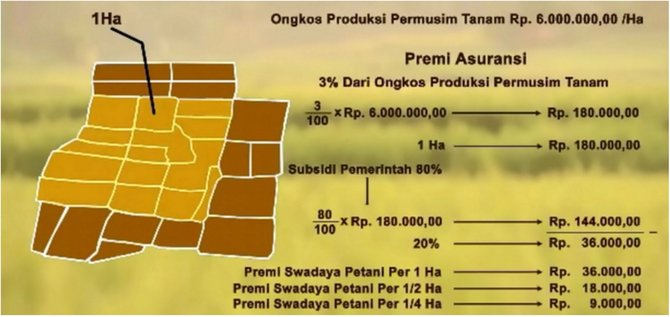 program asuransi usaha tani padi