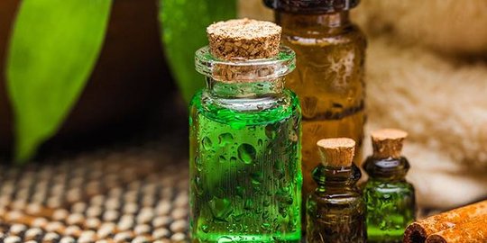 6 Manfaat Tea Tree Oil untuk Perawatan Tubuh, Ampuh Atasi Jerawat hingga Ketombe
