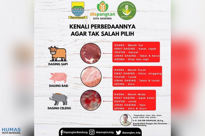 perbedaan daging sapi dan babi