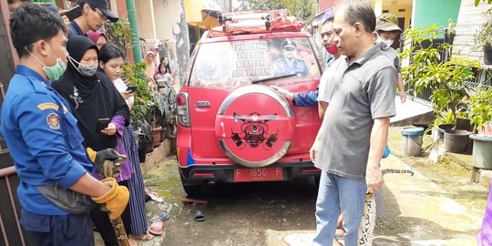 Tangkap Ular Sanca 3 Meter, Tembok Rumah Warga Citayam Terpaksa Dijebol