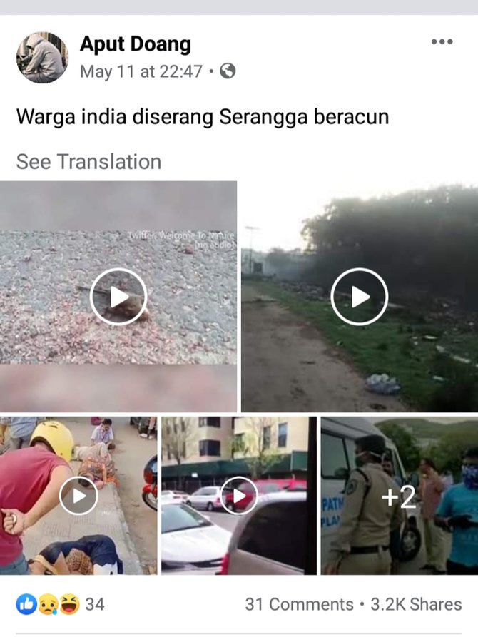 disinformasi video serangan serangga beracun di india