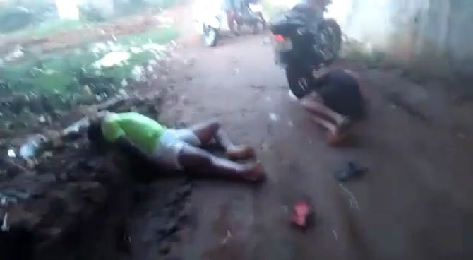 disinformasi video serangan serangga beracun di india