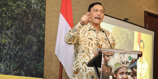 Luhut Beberkan Bukti Indonesia Tetap Jadi Incaran Investor di Tengah Pandemi Corona