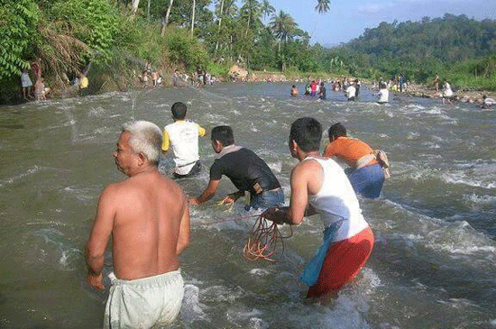 serunya lubuk larangan tradisi unik tangkap ikan sambut lebaran