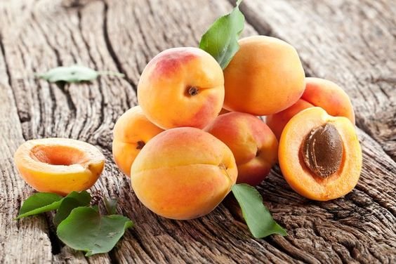 buah aprikot