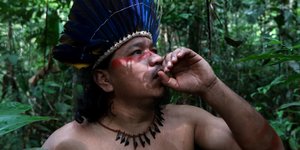 Suku Pedalaman Brasil Perangi Covid-19 dengan Tanaman Asli Amazon