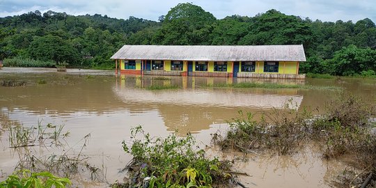 Banjir Bandang Rendam Puluhan Hektare Sawah di Musi Rawas & OKU Selatan