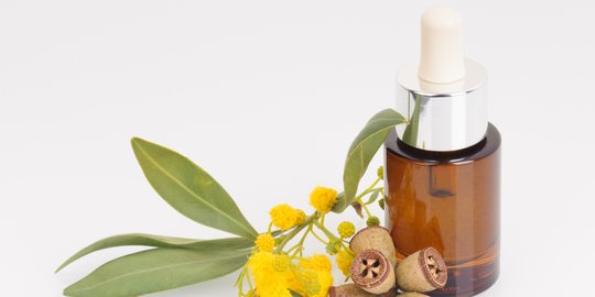 7 Manfaat minyak eukaliptus untuk kesehatan, patut dicoba nih